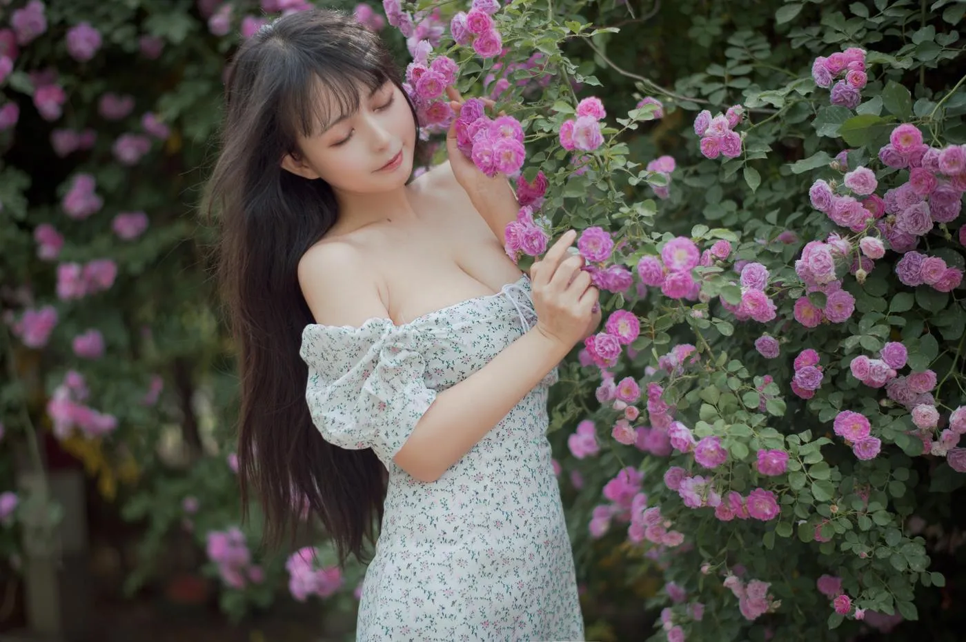 黑猫猫OvO – NO.23 蔷薇2 [27P]插图4